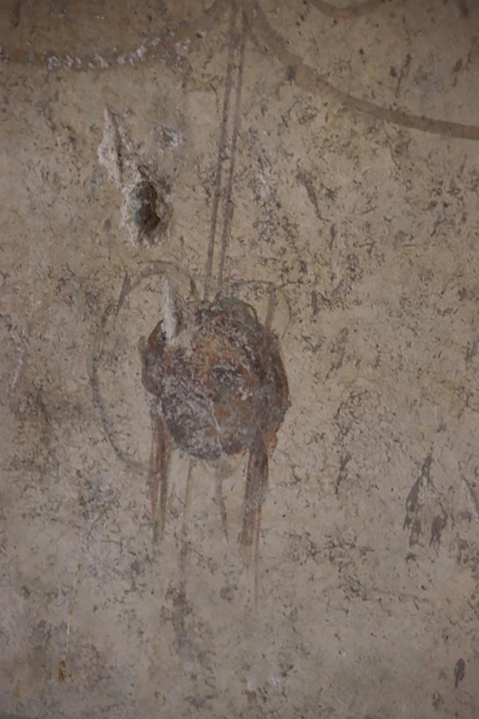 Villa San Marco, Stabiae, October 2022.
Room 12, north wall, detail of face/mask. Photo courtesy of Klaus Heese.