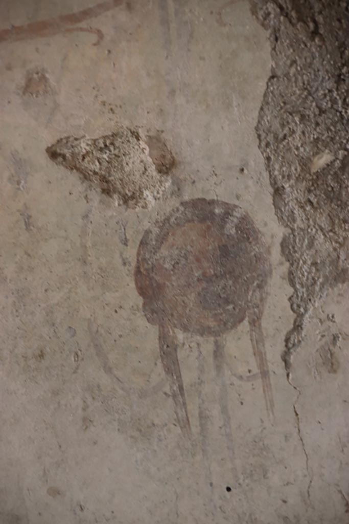 Villa San Marco, Stabiae, October 2022.
Room 12, detail of painted face/mask. Photo courtesy of Klaus Heese.