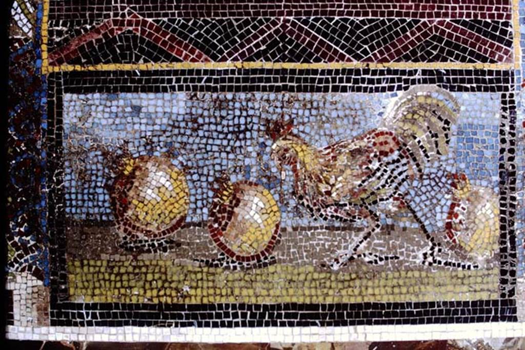 Stabiae, San Marco, 1968. Detail of mosaic in lower part of niche showing a cock pecking at a pomegranate. Photo by Stanley A. Jashemski.
Source: The Wilhelmina and Stanley A. Jashemski archive in the University of Maryland Library, Special Collections (See collection page) and made available under the Creative Commons Attribution-Non Commercial License v.4. See Licence and use details. J68f1027