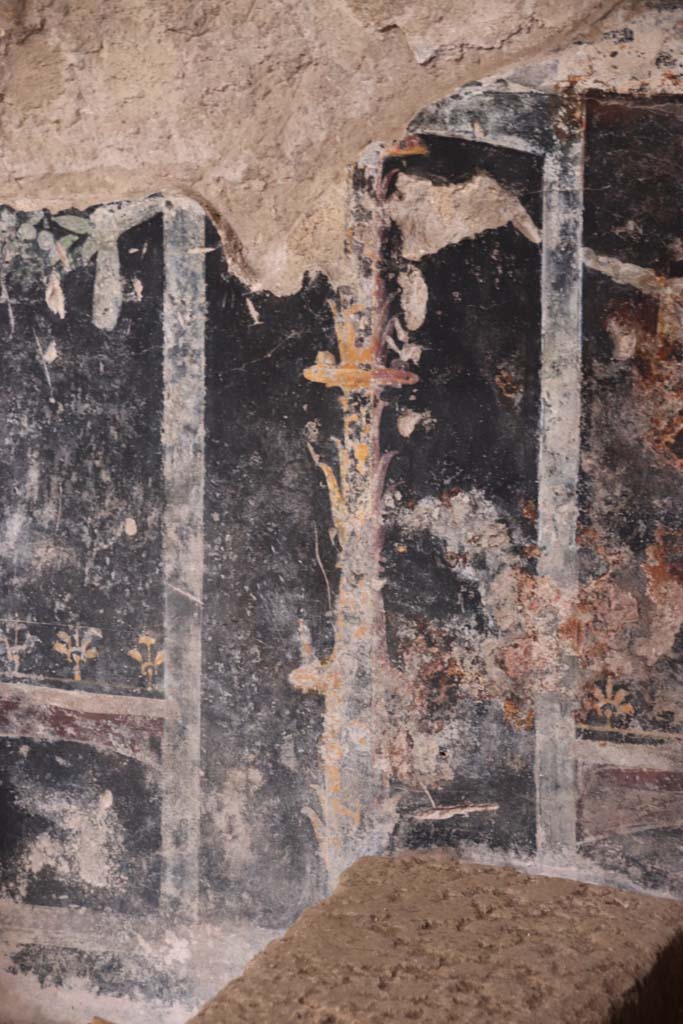 Villa San Marco, Stabiae, October 2020.
Room 44, detail of painted decoration on zoccolo on west wall next to lararium steps, in north-west corner of atrium.
Photo courtesy of Klaus Heese.