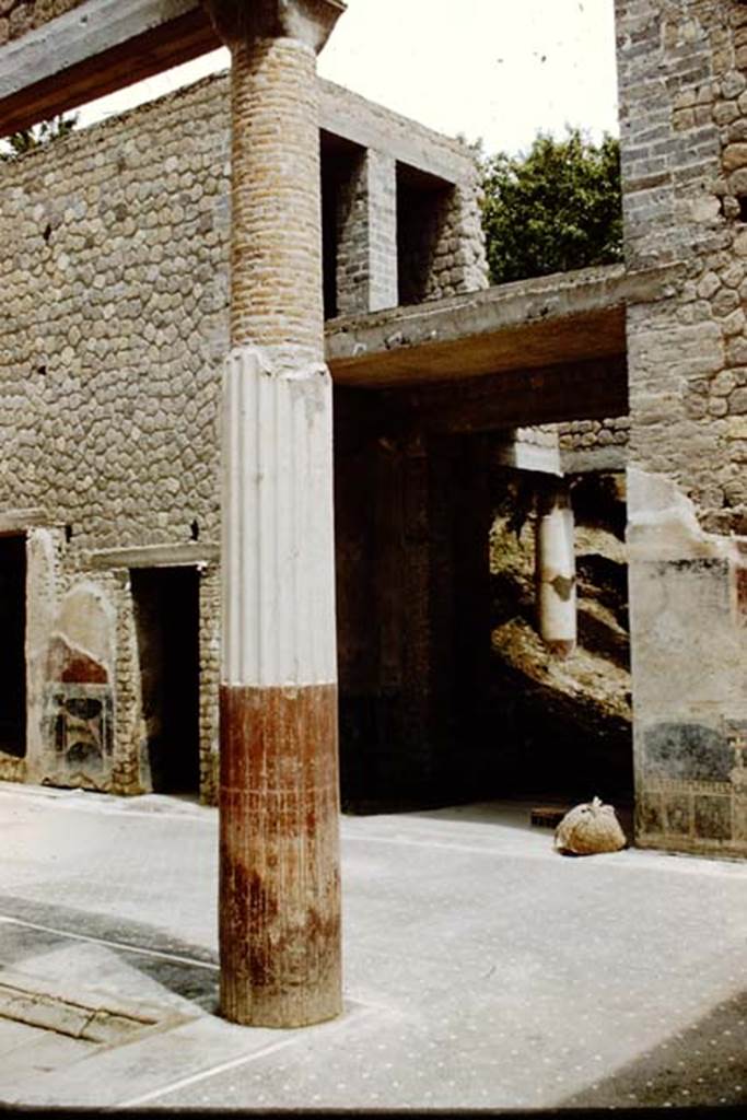 Villa San Marco, Stabiae, 1961. Room 44, south side of atrium, looking towards entrance doorway, not yet fully excavated. Photo by Stanley A. Jashemski.
Source: The Wilhelmina and Stanley A. Jashemski archive in the University of Maryland Library, Special Collections (See collection page) and made available under the Creative Commons Attribution-Non Commercial License v.4. See Licence and use details. Jmit0092