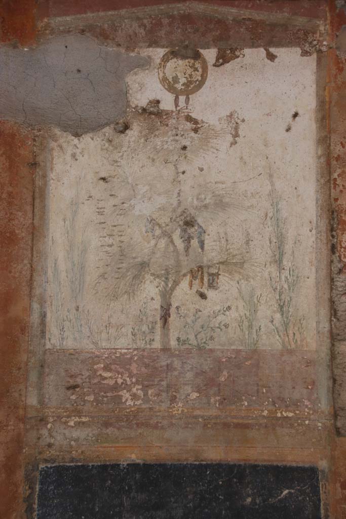 Villa San Marco, Stabiae, September 2019.
Room 20, east wall, detail of fresco on painted panel, on the left of the 18th century hole. Photo courtesy of Klaus Heese.