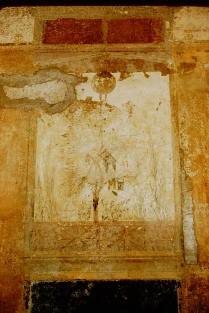 Villa San Marco, Stabiae, c.1960’s, (probably1961). Room 20, detail of fresco on east wall, on the left of the 18th century hole. Photo by Stanley A. Jashemski.
Source: The Wilhelmina and Stanley A. Jashemski archive in the University of Maryland Library, Special Collections (See collection page) and made available under the Creative Commons Attribution-Non Commercial License v.4. See Licence and use details. Jmit0110