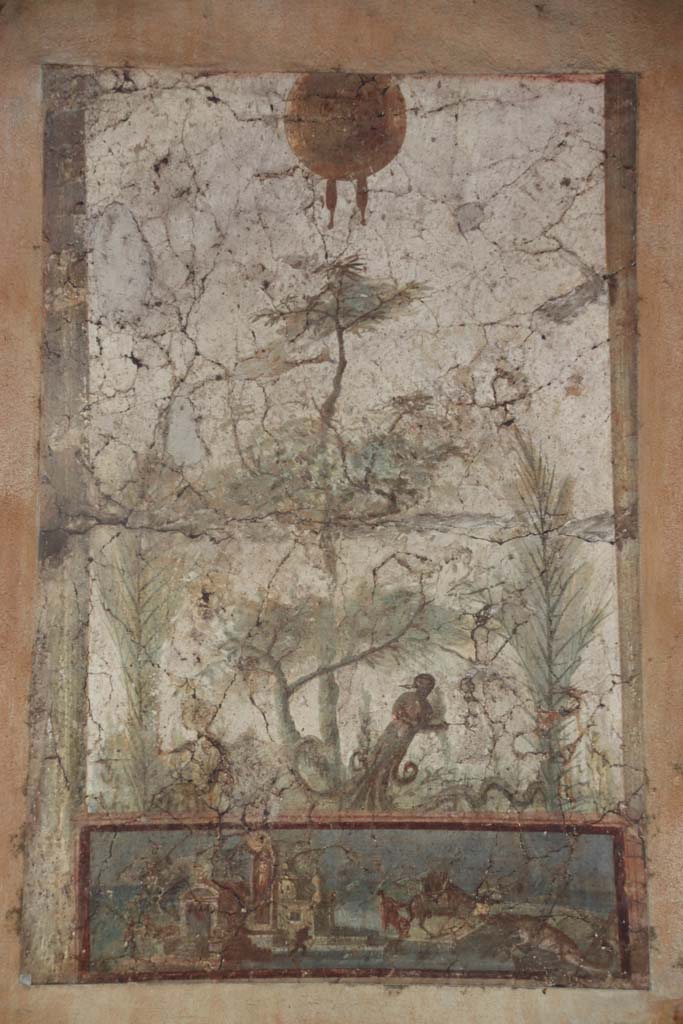 Villa San Marco, Stabiae, September 2019.
Room 20, east wall, detail of fresco on painted panel. Photo courtesy of Klaus Heese.