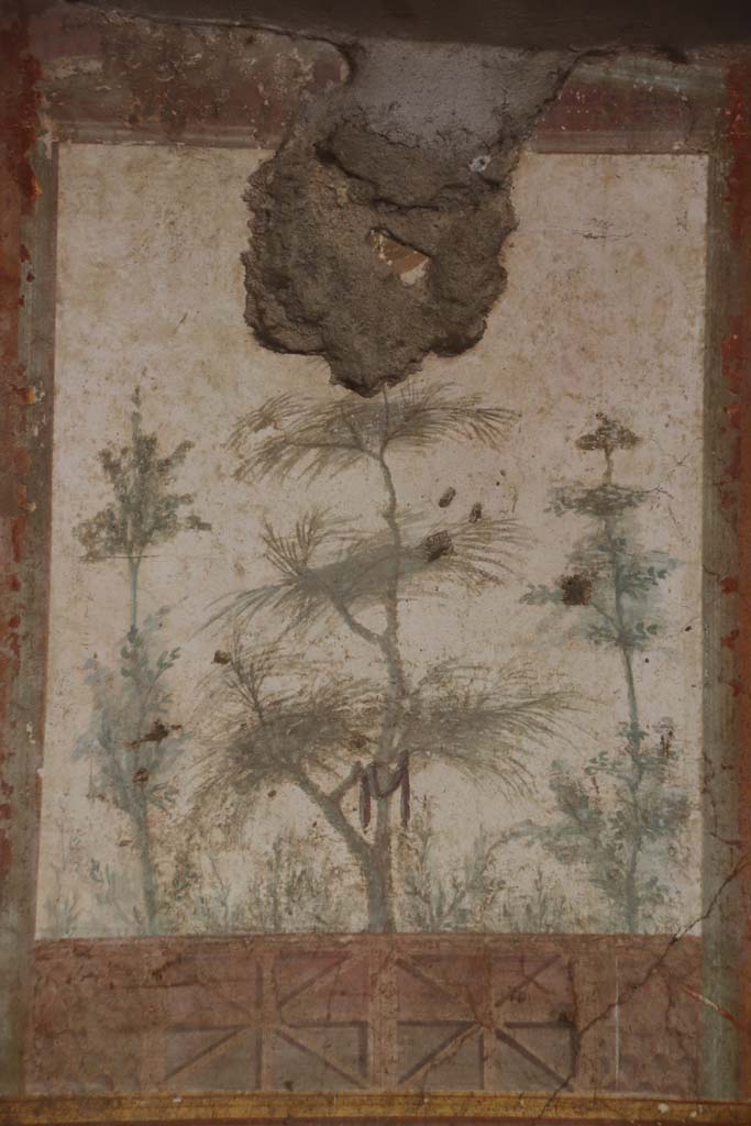 Villa San Marco, Stabiae, September 2019.
Room 20, east wall at south end, detail of fresco on painted panel. Photo courtesy of Klaus Heese.
