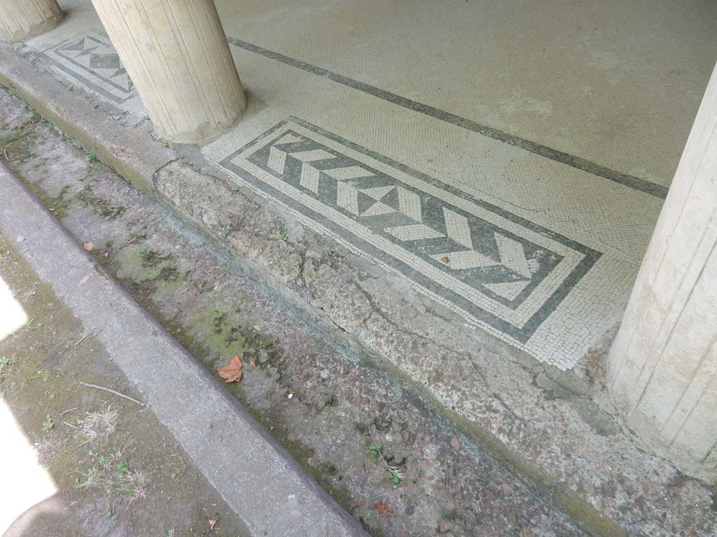 Villa San Marco, Stabiae, June 2019. East portico 20, mosaic thresholds between columns, numbers 9 and 10.
Photo courtesy of Buzz Ferebee.