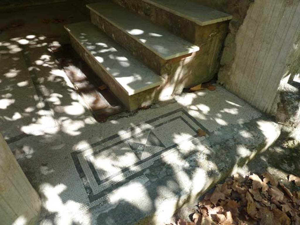 Villa San Marco, Stabiae, September 2015. Area 20, east portico, mosaic threshold between columns at southern end, number 11 of 11.