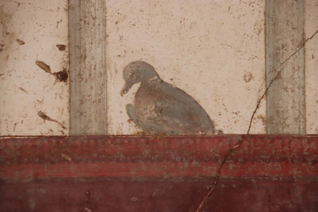 Villa San Marco, Stabiae, September 2019.
Room 50, detail from north end of east wall. Photo courtesy of Klaus Heese.