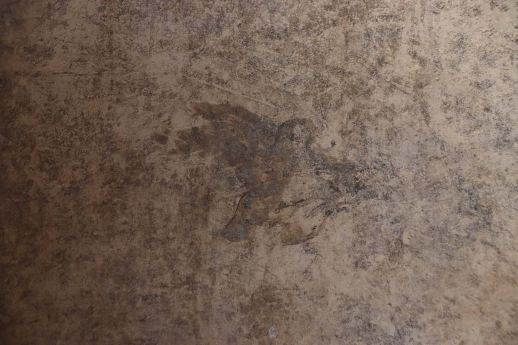 Villa San Marco, Stabiae, September 2019. Room 60, painted decoration from north end of east wall. Photo courtesy of Klaus Heese.