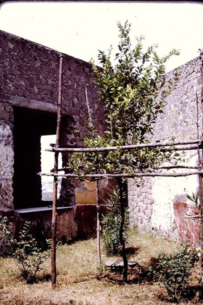 Villa San Marco, Stabiae, after 1968, (possibly 1976). Looking west in garden, towards window into room 21. Photo by Stanley A. Jashemski.
Source: The Wilhelmina and Stanley A. Jashemski archive in the University of Maryland Library, Special Collections (See collection page) and made available under the Creative Commons Attribution-Non Commercial License v.4. See Licence and use details. Jmit0135
