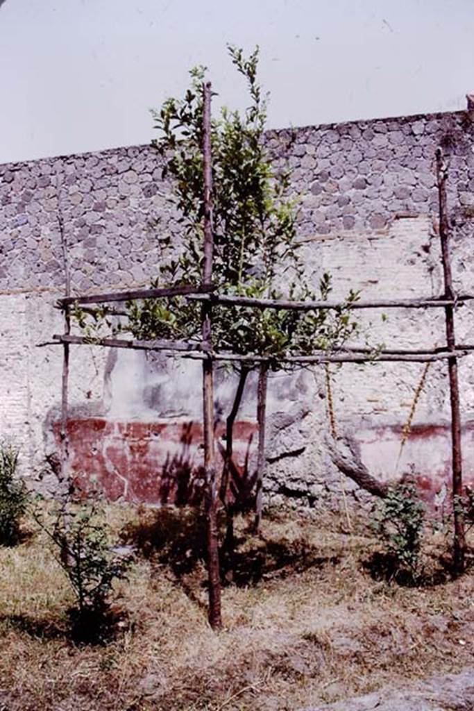 Villa San Marco, Stabiae, after 1968, (possibly 1976). Room 19, looking towards north wall of garden area. Photo by Stanley A. Jashemski.
Source: The Wilhelmina and Stanley A. Jashemski archive in the University of Maryland Library, Special Collections (See collection page) and made available under the Creative Commons Attribution-Non Commercial License v.4. See Licence and use details. Jmit0137