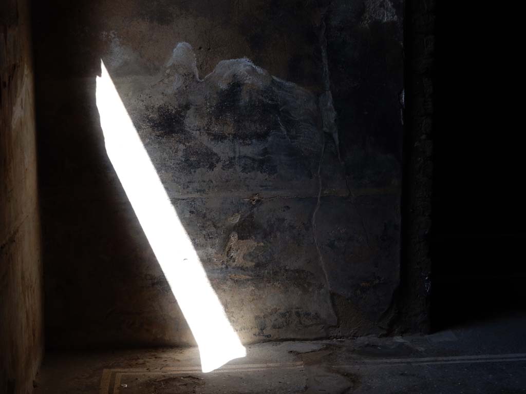 Villa San Marco, Stabiae, June 2019. Room 23, south-west corner, south end of west wall.
Photo courtesy of Buzz Ferebee
