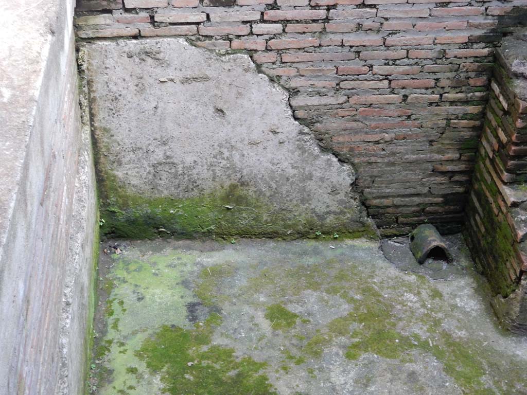 Villa San Marco, Stabiae, June 2019. Room 25, detail of remaining surface of impluvium/pool.
Photo courtesy of Buzz Ferebee