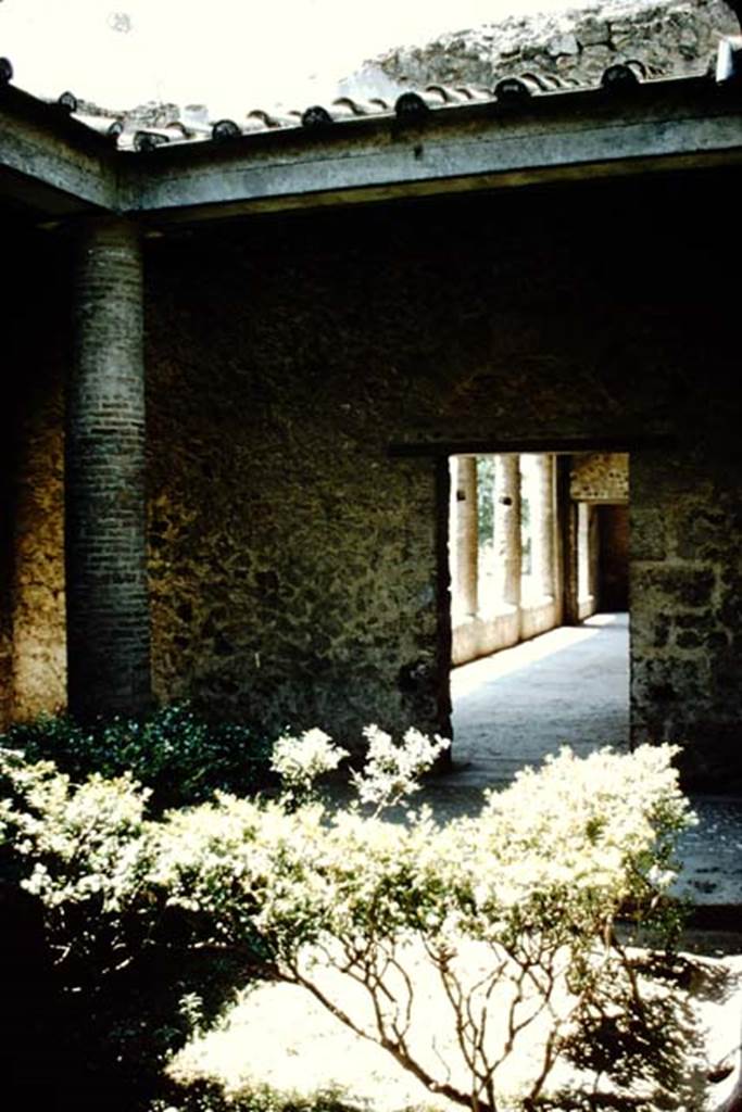 Villa of Mysteries, Pompeii. 1957. Looking across room 62 towards doorway to portico P6,
Photo by Stanley A. Jashemski.
Source: The Wilhelmina and Stanley A. Jashemski archive in the University of Maryland Library, Special Collections (See collection page) and made available under the Creative Commons Attribution-Non Commercial License v.4. See Licence and use details.
J57f0388