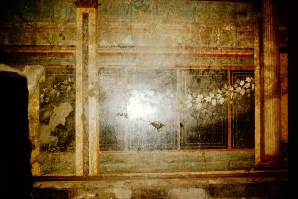 Villa of Mysteries, Pompeii. 1957. Room 6, detail of painted garland on west wall. Photo by Stanley A. Jashemski.
Source: The Wilhelmina and Stanley A. Jashemski archive in the University of Maryland Library, Special Collections (See collection page) and made available under the Creative Commons Attribution-Non Commercial License v.4. See Licence and use details.
J57f0382