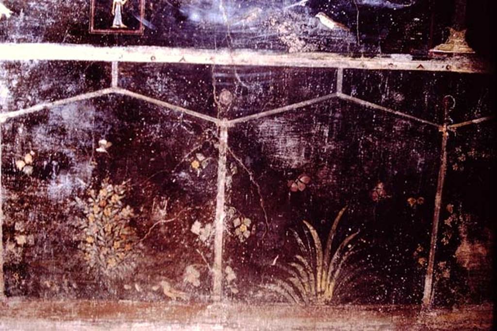 Villa of Mysteries, Pompeii. 1966. Room 2, tablinum, west end of the north wall. Photo by Stanley A. Jashemski.
Source: The Wilhelmina and Stanley A. Jashemski archive in the University of Maryland Library, Special Collections (See collection page) and made available under the Creative Commons Attribution-Non Commercial License v.4. See Licence and use details.
J66f1024
