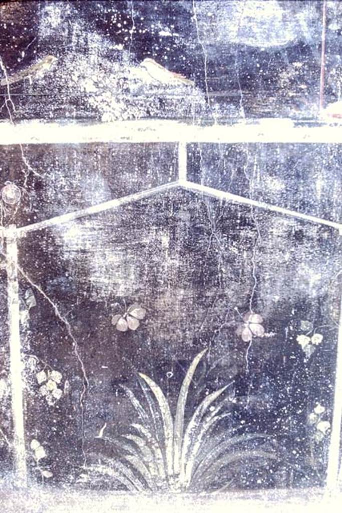 Villa of Mysteries, Pompeii. 1968. Room 2, tablinum, west end of the north wall. Photo by Stanley A. Jashemski.
Source: The Wilhelmina and Stanley A. Jashemski archive in the University of Maryland Library, Special Collections (See collection page) and made available under the Creative Commons Attribution-Non Commercial License v.4. See Licence and use details.
J68f1378