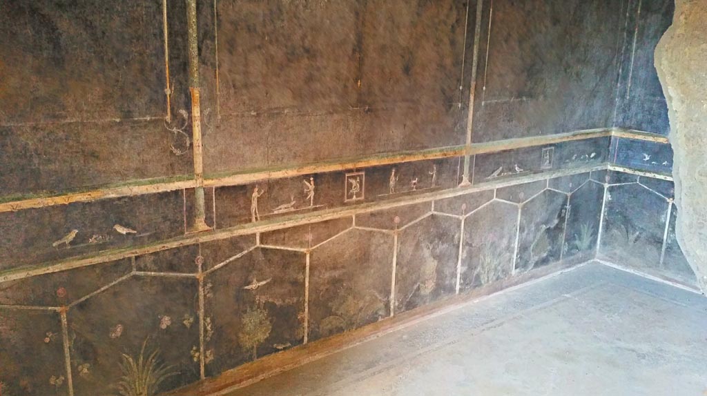 Villa of Mysteries, Pompeii. c.2015-2017.
Room 2, tablinum, looking east along north wall towards north-east corner. Photo courtesy of Giuseppe Ciaramella.