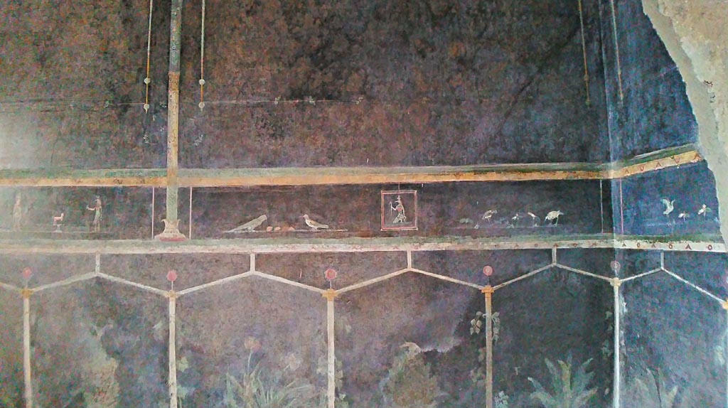Villa of Mysteries, Pompeii. c.2015-2017.
Room 2, tablinum, detail from east end of north wall and north-east corner. Photo courtesy of Giuseppe Ciaramella.