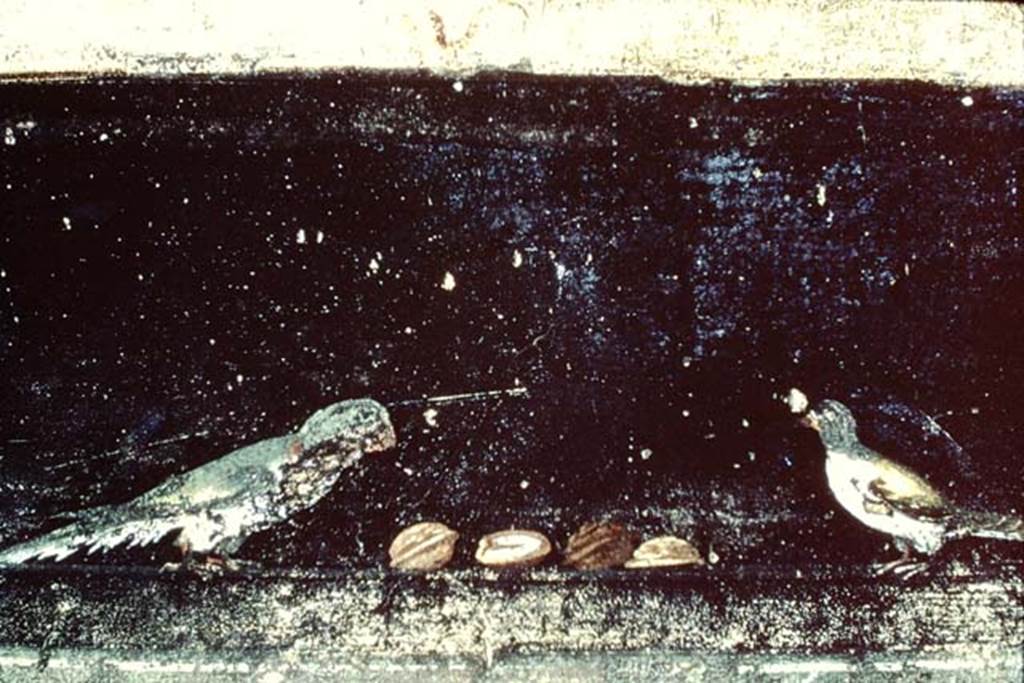 Villa of Mysteries, Pompeii. 1968. Room 2, lower east end of north wall, detail of painted birds with nuts.
Photo by Stanley A. Jashemski.
Source: The Wilhelmina and Stanley A. Jashemski archive in the University of Maryland Library, Special Collections (See collection page) and made available under the Creative Commons Attribution-Non Commercial License v.4. See Licence and use details.
J68f1374