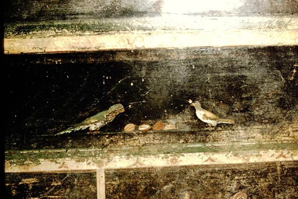 Villa of Mysteries, Pompeii. 1957. Room 2, lower east end of north wall, detail of painted birds with nuts.
Photo by Stanley A. Jashemski.
Source: The Wilhelmina and Stanley A. Jashemski archive in the University of Maryland Library, Special Collections (See collection page) and made available under the Creative Commons Attribution-Non Commercial License v.4. See Licence and use details.
J57f0370