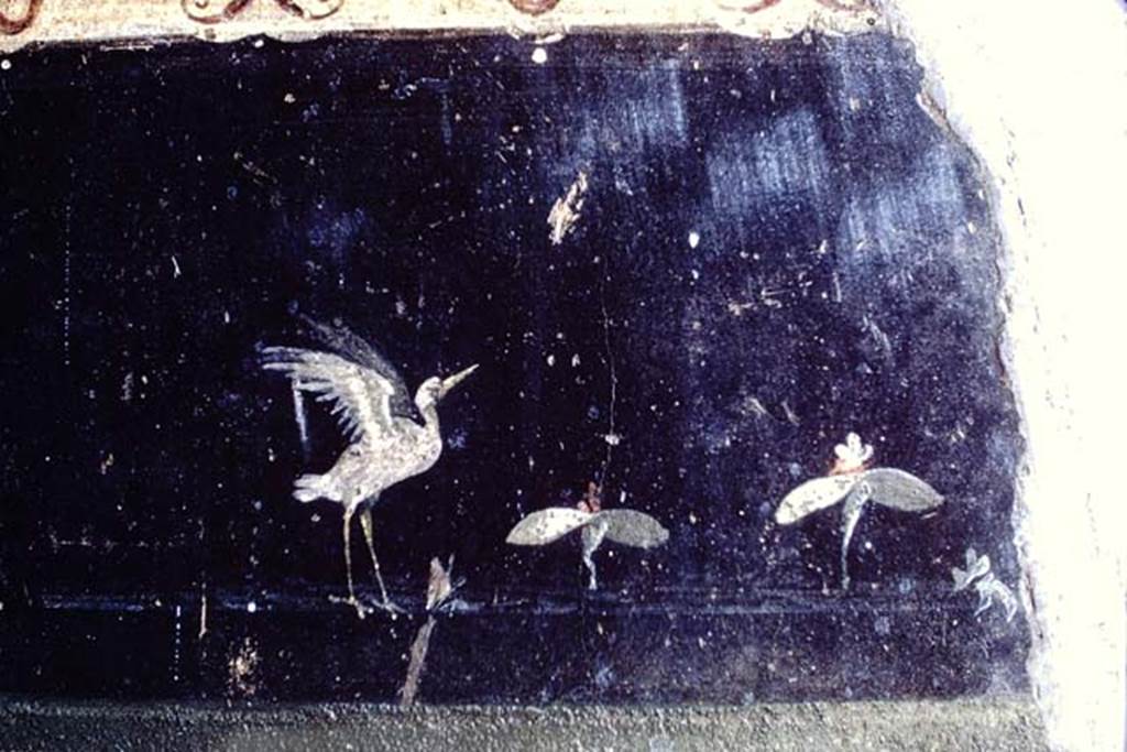 Villa of Mysteries, Pompeii. 1968. Room 2, tablinum, detail from lower north end of east wall.
Photo by Stanley A. Jashemski.
Source: The Wilhelmina and Stanley A. Jashemski archive in the University of Maryland Library, Special Collections (See collection page) and made available under the Creative Commons Attribution-Non Commercial License v.4. See Licence and use details.
J68f1376