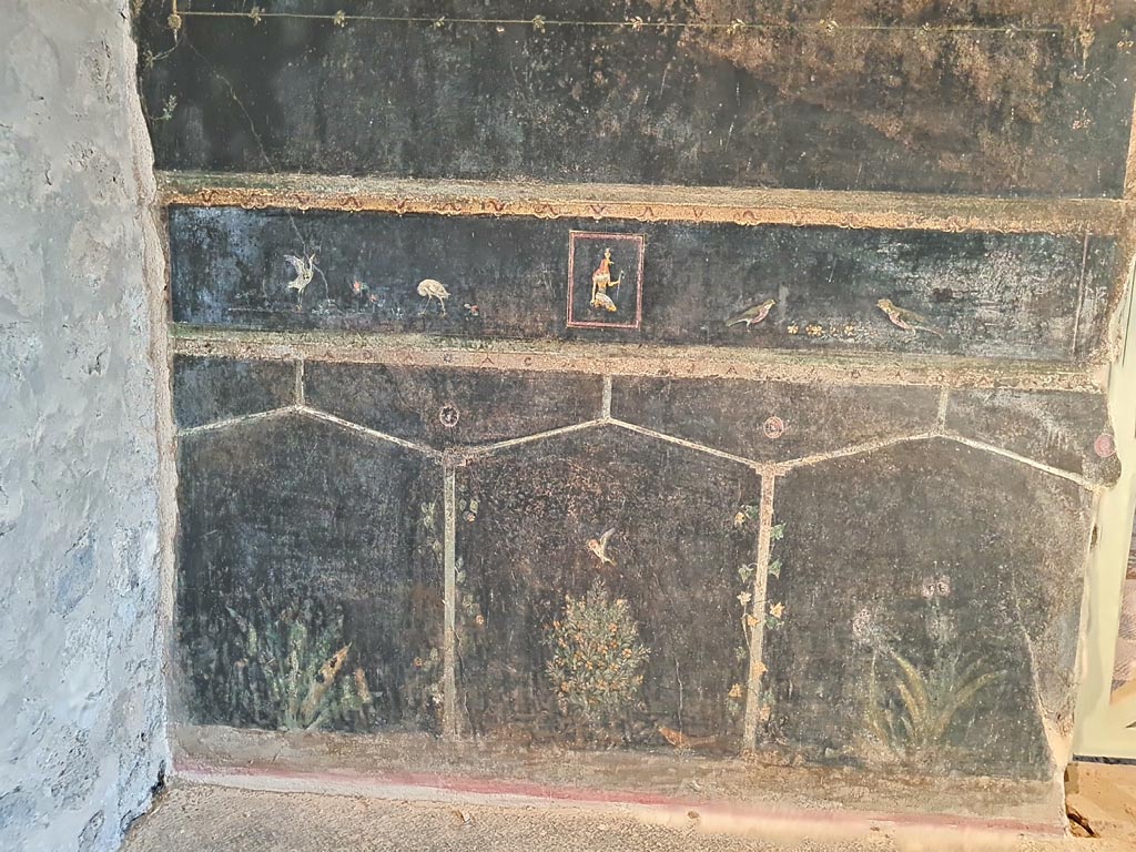 Villa of Mysteries, Pompeii. November 2023.
Room 2, tablinum, south-east corner and south wall near doorway to room 4. Photo courtesy of Giuseppe Ciaramella.