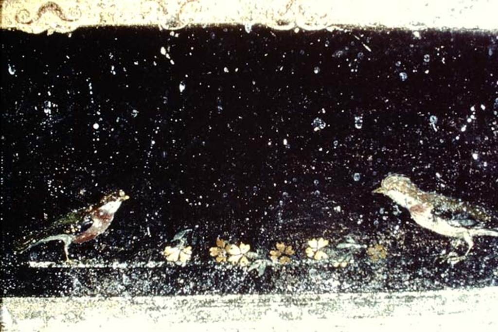 Villa of Mysteries, Pompeii. 1968. Room 2, tablinum, detail from south wall near doorway to room 4.
Photo by Stanley A. Jashemski.
Source: The Wilhelmina and Stanley A. Jashemski archive in the University of Maryland Library, Special Collections (See collection page) and made available under the Creative Commons Attribution-Non Commercial License v.4. See Licence and use details.
J68f1381