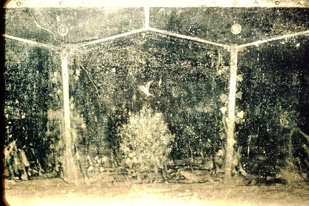 Villa of Mysteries, Pompeii. 1957. Room 2, tablinum, detail from south wall near doorway to room 4. Photo by Stanley A. Jashemski.
Source: The Wilhelmina and Stanley A. Jashemski archive in the University of Maryland Library, Special Collections (See collection page) and made available under the Creative Commons Attribution-Non Commercial License v.4. See Licence and use details.
J57f0373