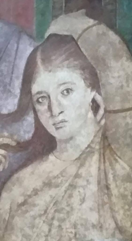 Villa of Mysteries, Pompeii. c.2015-2017.
Room 5, detail of painted figure from south wall. Photo courtesy of Giuseppe Ciaramella.