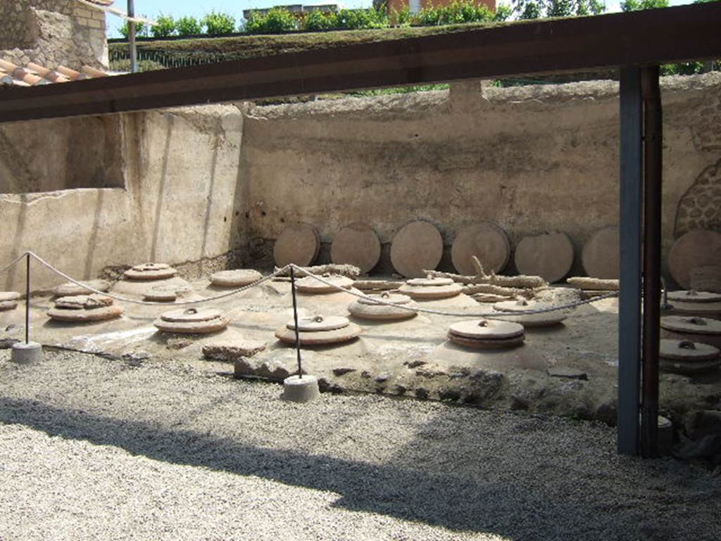 18 dolia at Villa Regina, Boscoreale. May 2006. Room I, looking north-east across cella vinaria.
After the grapes were pressed, the juice of the grapes was fermented in these dolia embedded in the courtyard.
According to the Boscoreale Antiquarium, this villa was used exclusively for the production of wine.
This is shown by the presence of a torcularium and a cella vinaria.
Paleo-botanic research has shown the presence of a vineyard which has today been replanted.