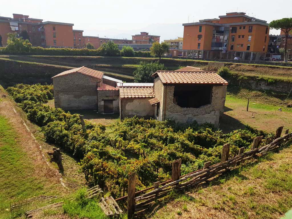 Villa Regina, Boscoreale. September 2021.
Looking towards the west side with exterior of room IXbis, on right. Photo courtesy of Klaus Heese.