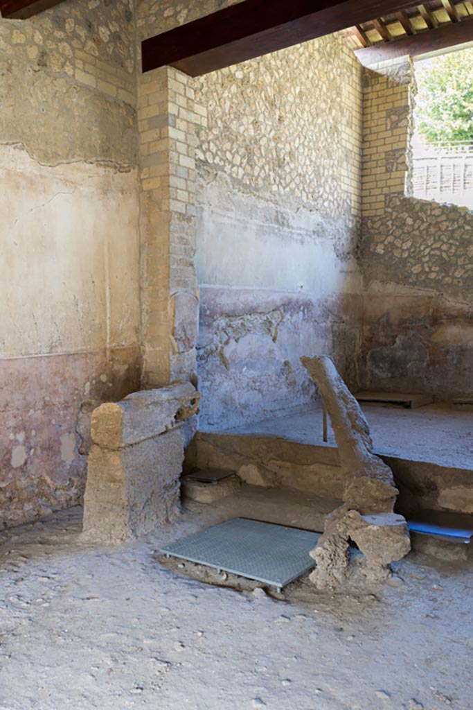Villa Regina, Boscoreale. October 2021.
Room IXbis, looking towards south wall from room IX. Photo courtesy of Johannes Eber.