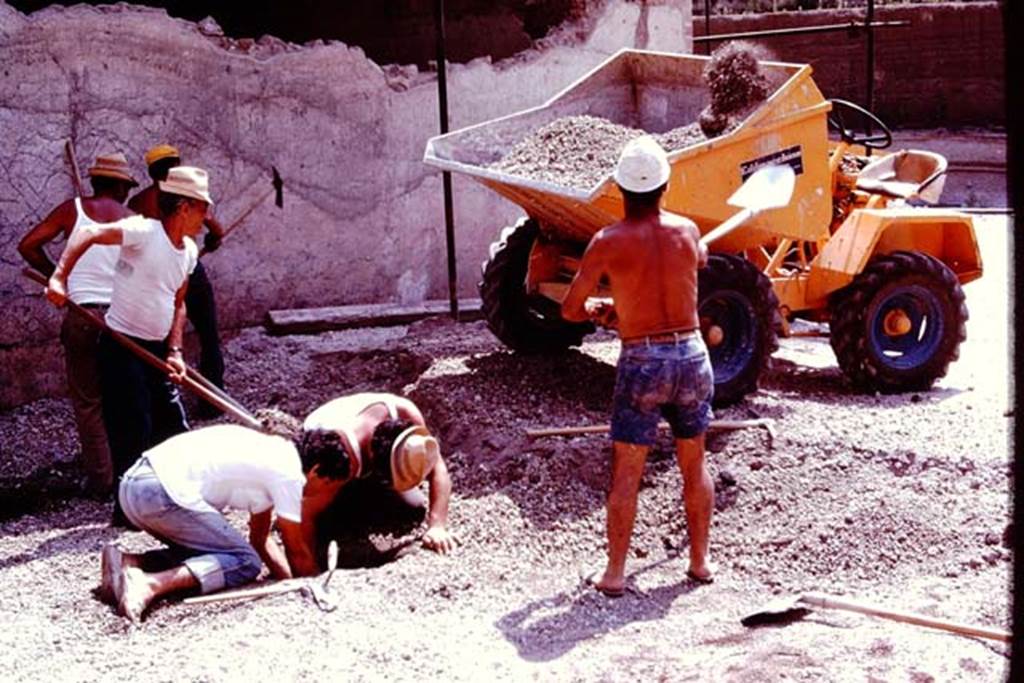 Villa Regina, Boscoreale. 1980. Removing lapilli, and discovery of something interesting near west wall. Photo by Stanley A. Jashemski.
Source: The Wilhelmina and Stanley A. Jashemski archive in the University of Maryland Library, Special Collections (See collection page) and made available under the Creative Commons Attribution-Non Commercial License v.4. See Licence and use details. J80f0176