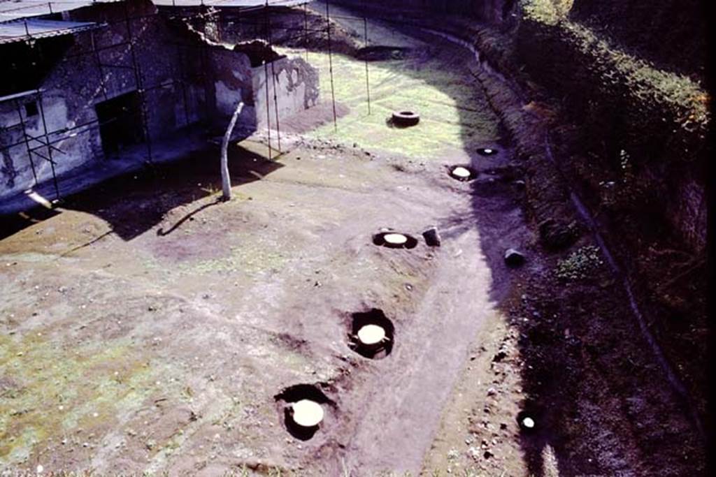 Villa Regina, Boscoreale. 1984. Looking east. Looking along the line of casts of tree-roots on the edge of the country road, on the south side of the villa. At the top of the photo surrounding the well, the outlines of the irrigation channels separating the vegetable garden beds, can be seen.
Source: The Wilhelmina and Stanley A. Jashemski archive in the University of Maryland Library, Special Collections (See collection page) and made available under the Creative Commons Attribution-Non Commercial License v.4. See Licence and use details. J84f0065