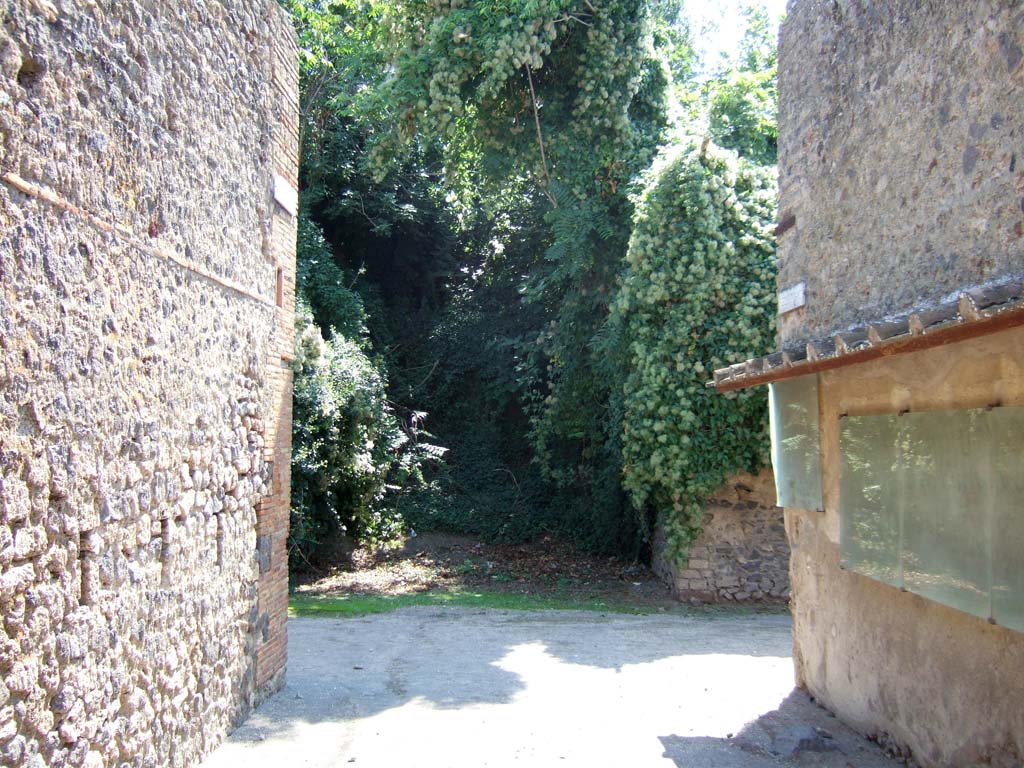 Unnamed vicolo. September 2005.
Looking south across junction to unnamed unexcavated vicolo. Taken from Vicolo dell’ Efebo between I.8 and I.7.
