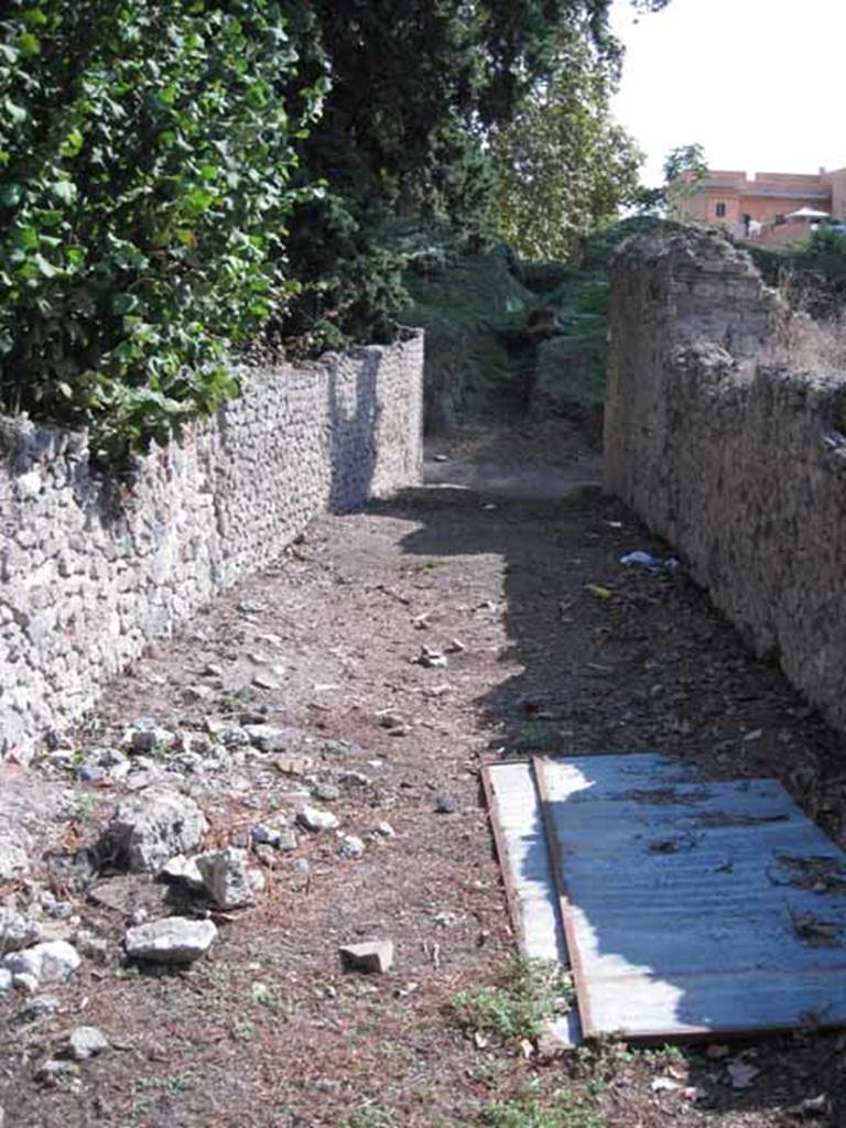 Unnamed vicolo between I.5 and I.1. September 2010. I.1 on left and I.5 right. Looking south from the mid-way bend in the unnamed vicolo, towards the city walls. Photo courtesy of Drew Baker.
