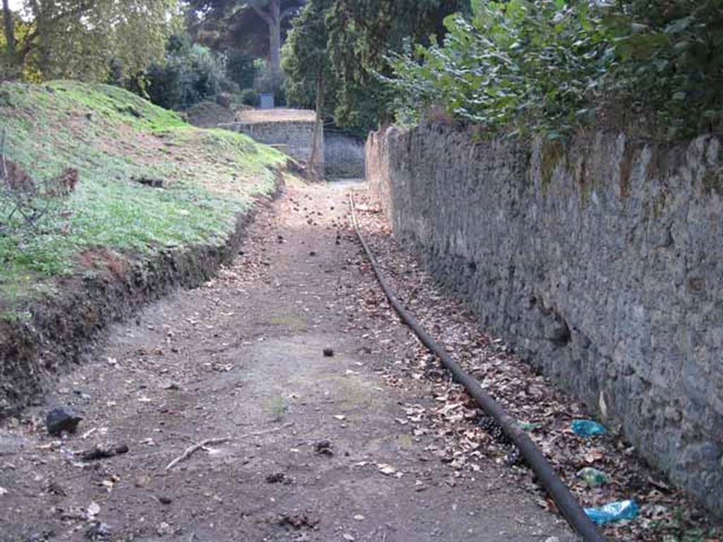 Unnamed vicolo south of I.1 and I.5. September 2010. Looking west towards Via Stabiana, from south end of Vicolo del Citarista. City walls, Pompeii, on left. Unnamed vicolo between I.5 and I.1, on the right. Photo courtesy of Drew Baker.