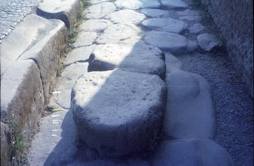 Via Marina, July 2011. Looking east to stepping stones near exit to Temple of Venus.
Photo courtesy of Rick Bauer.
