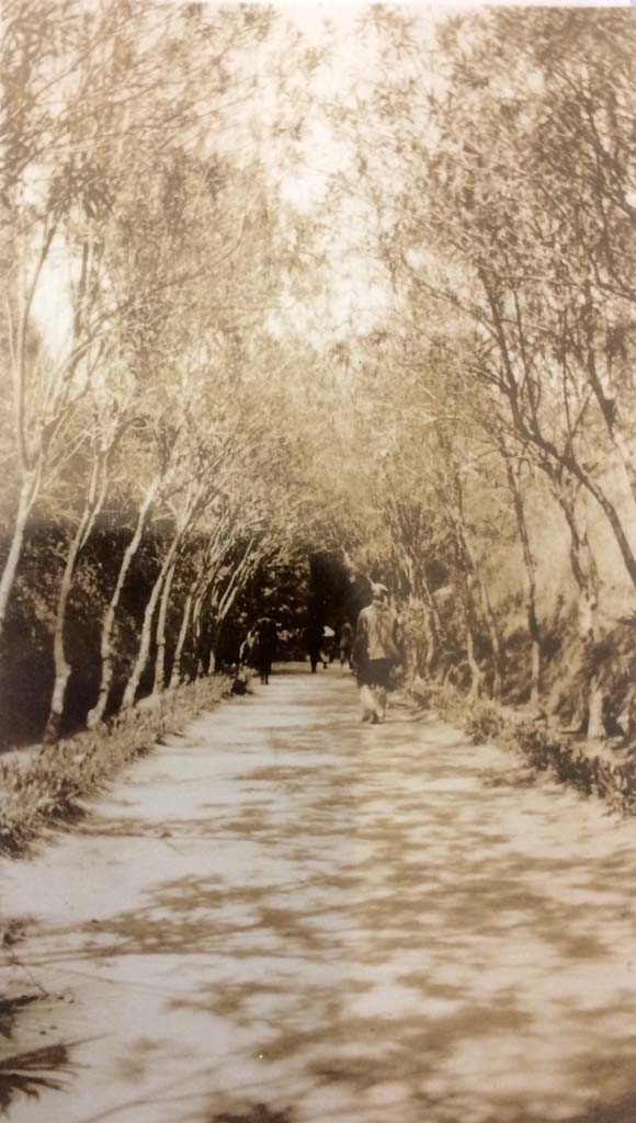 Entrance to Pompeii, dated April 03 (1903?), but exact location unknown.
Photo courtesy of Rick Bauer.
