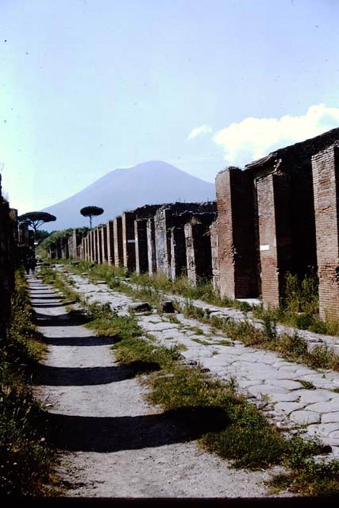 Via Stabiana, Pompeii. 1964. Looking north between VII.2 and IX.3, with IX.3.6, on the right. Photo by Stanley A. Jashemski.
Source: The Wilhelmina and Stanley A. Jashemski archive in the University of Maryland Library, Special Collections (See collection page) and made available under the Creative Commons Attribution-Non Commercial License v.4. See Licence and use details.
J64f1310