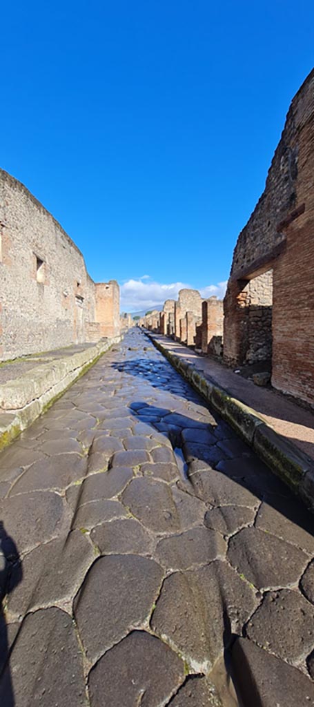 Via Stabiana, April 2022.
Looking north between VII,1 and IX.1. Photo courtesy of Giuseppe Ciaramella.