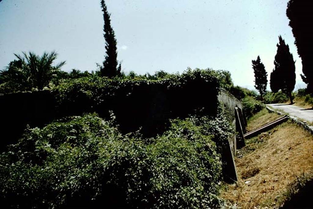 Via Villa dei Misteri. 1957. Looking south along roadway from near the Villa of Diomedes. Photo by Stanley A. Jashemski.
Source: The Wilhelmina and Stanley A. Jashemski archive in the University of Maryland Library, Special Collections (See collection page) and made available under the Creative Commons Attribution-Non Commercial License v.4. See Licence and use details.