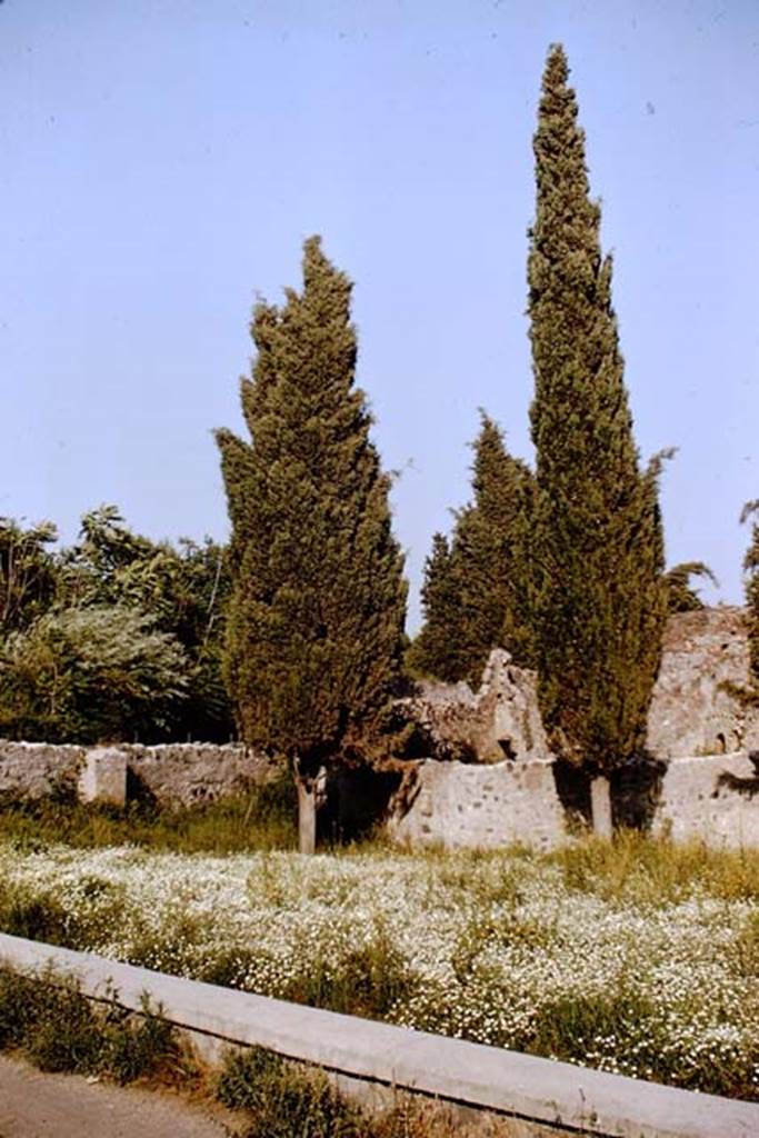Via dei Sepolcri, (north end). Pompeii. 1964. Area on north side of Villa of Diomedes.
Photo by Stanley A. Jashemski.
Source: The Wilhelmina and Stanley A. Jashemski archive in the University of Maryland Library, Special Collections (See collection page) and made available under the Creative Commons Attribution-Non Commercial License v.4. See Licence and use details.
J64f1831