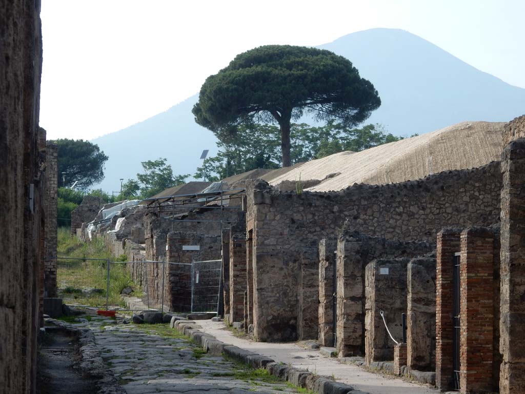 Via del Vesuvio, Pompeii. June 2019. Looking north from between VI.14 and V.1.
Left of centre is the newly excavated insula, V.6. Photo courtesy of Buzz Ferebee.
