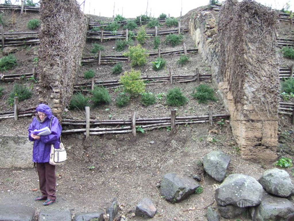 Via dell’Abbondanza. Looking north to unnamed vicolo between III.6 and III.7. December 2005.