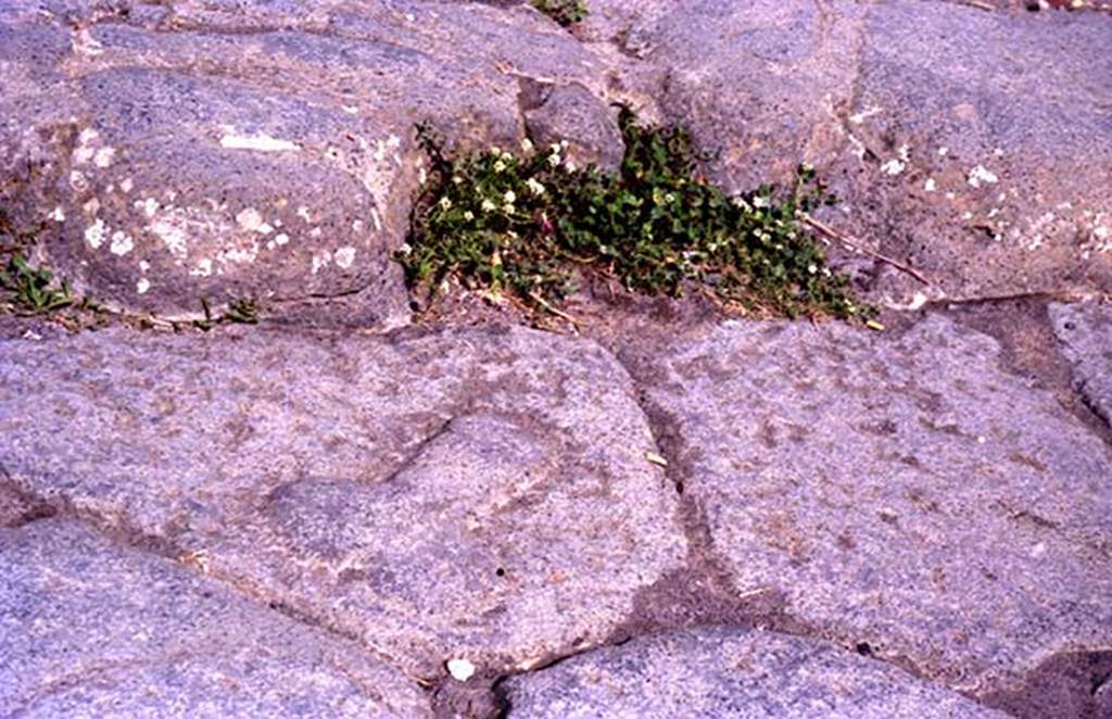Via dell’Abbondanza. September 1990 photo of phallus in road outside VII.13.3. Photo courtesy Arne Andersson.