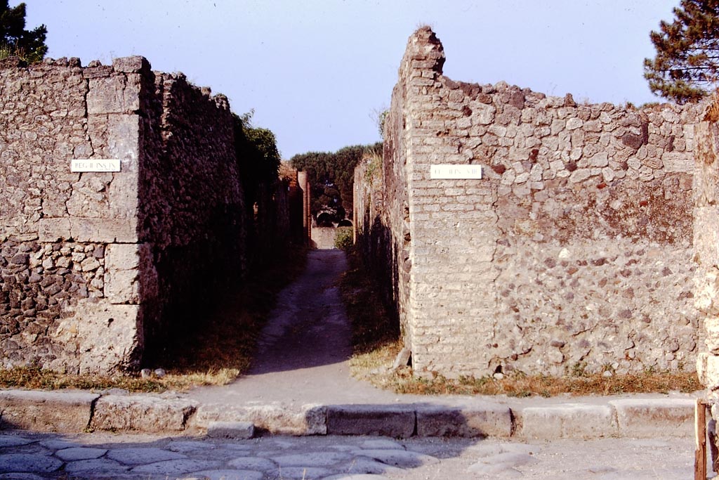 Via della Palestra between II.9 and II.8, Pompeii. 1973.
Looking east from the junction with Via di Nocera. Photo by Stanley A. Jashemski.
Source: The Wilhelmina and Stanley A. Jashemski archive in the University of Maryland Library, Special Collections (See collection page) and made available under the Creative Commons Attribution-Non-Commercial License v.4. See Licence and use details.
J73f0204