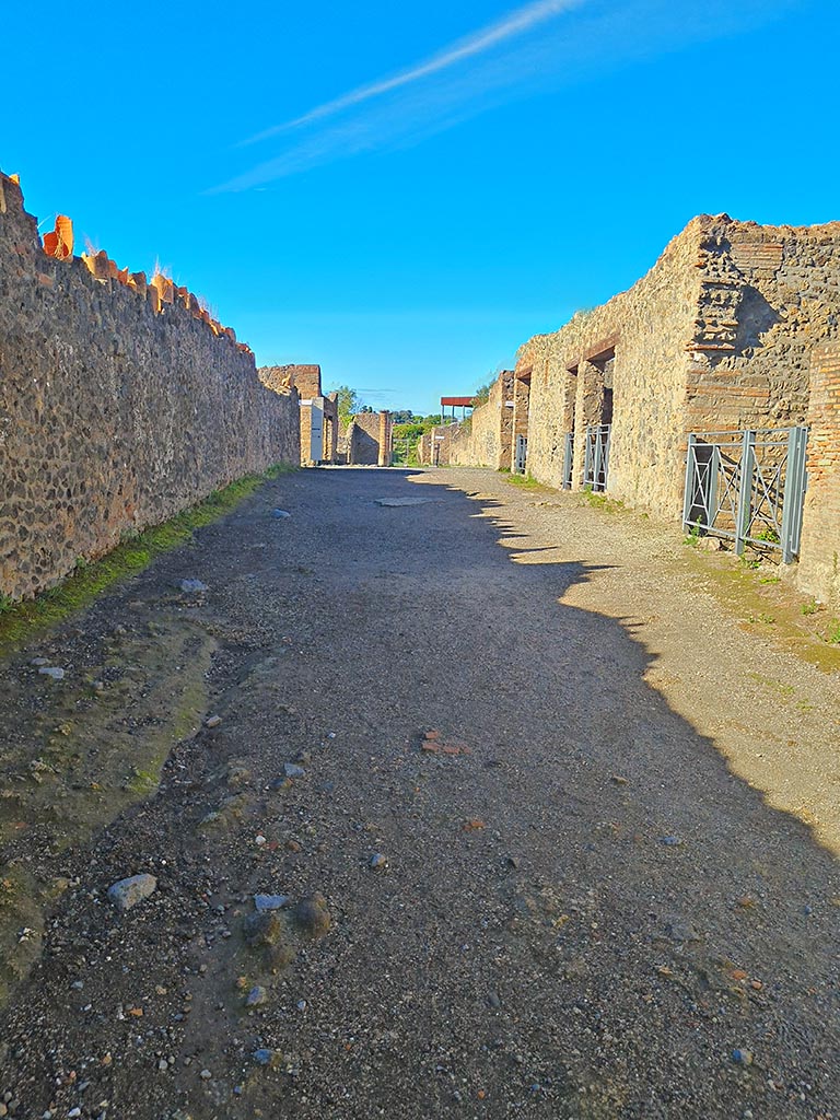 Via della Palestra, Pompeii. October 2024.
Looking west towards junction with Vicolo dei Fuggiaschi. Photo courtesy of Giuseppe Ciaramella.