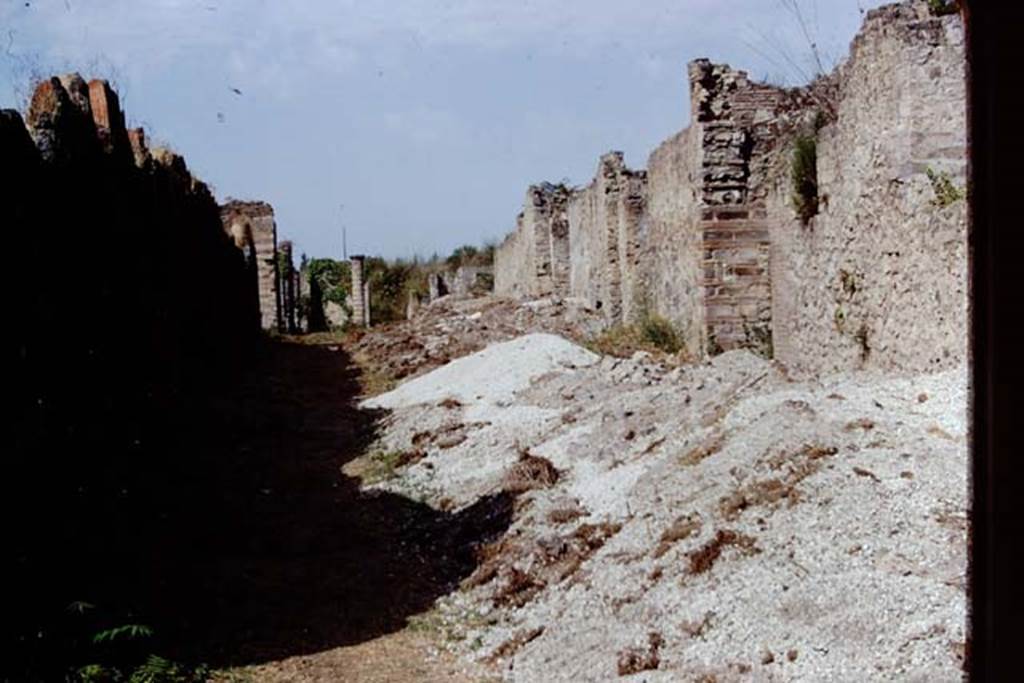 Via della Palestra between I.20 and I.14. Pompeii. 1972. Looking west. Photo by Stanley A. Jashemski.
Source: The Wilhelmina and Stanley A. Jashemski archive in the University of Maryland Library, Special Collections (See collection page) and made available under the Creative Commons Attribution-Non Commercial License v.4. See Licence and use details.
J72f0415
According to Wilhelmina, at the end of the dig to save time and to finish things, Prof. Cerulli had told them to carry all of their fill (from I.15) in wheelbarrows out into the street, and then when they had finished, she hired three huge four-wheeled trucks and an earth moving machine to remove the piles of fill from the streets, as high as walls. This saved both time and several thousand dollars.
See Jashemski W. F., 2014. Discovering the Gardens of Pompeii: The Memoirs of a Garden Archaeologist 1955 – 2004, (p.197).